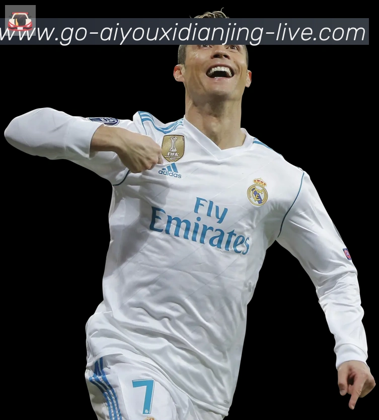 体育数据展示
